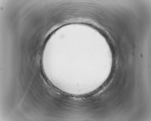 X0000085311505200704092310