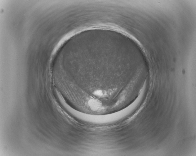 X0000085311506200704092310