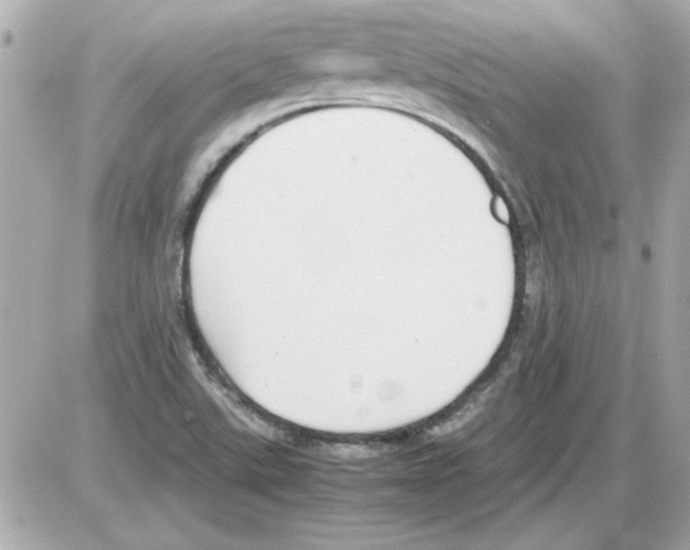 X0000085311507200704092310