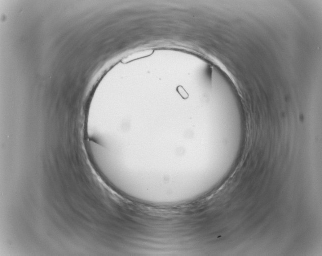 X0000085311508200704092310