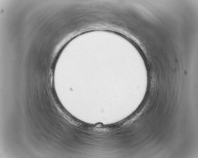 X0000085311509200704092310