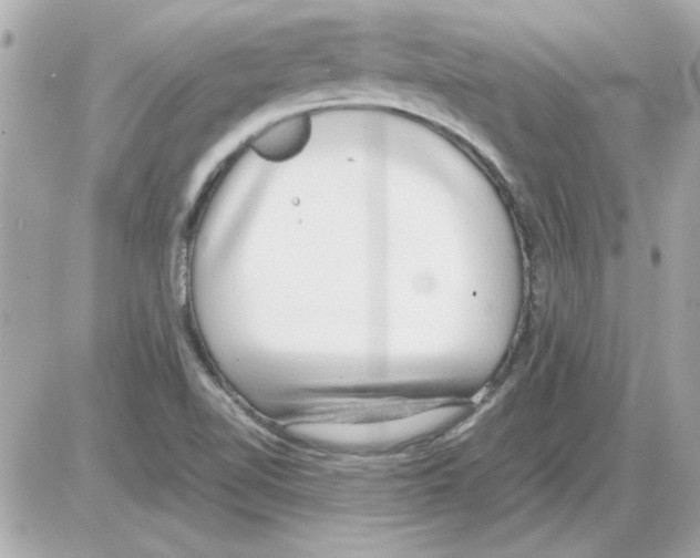 X0000085311510200704092310