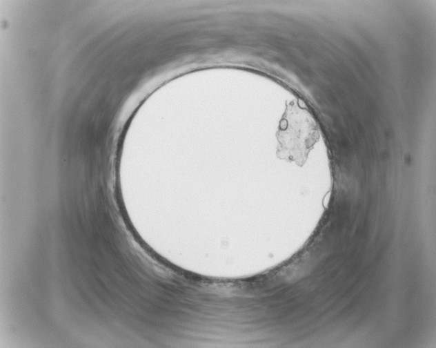 X0000085311512200704092310