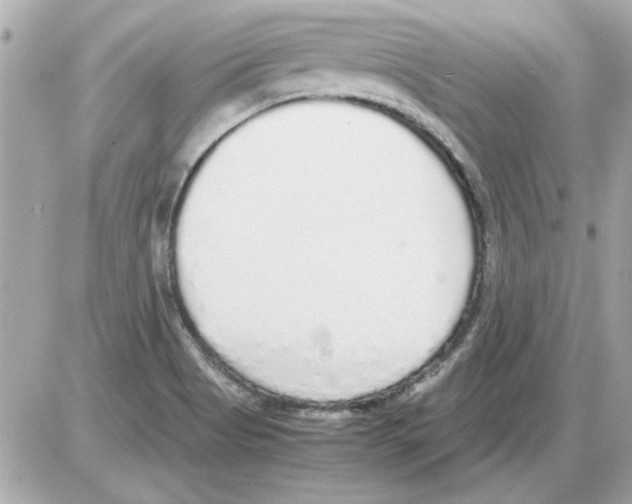 X0000085311513200704092310