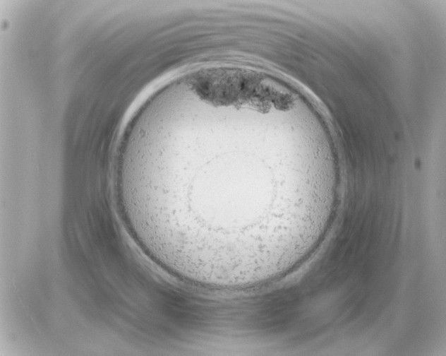 X0000085311514200704092310