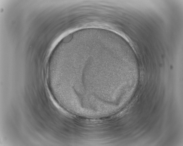 X0000085311515200704092310