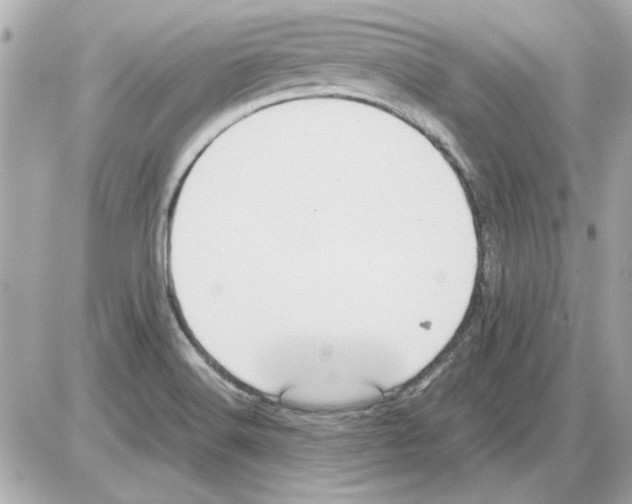 X0000085311516200704092310