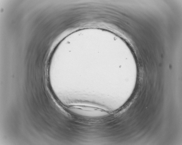 X0000085311517200704092310