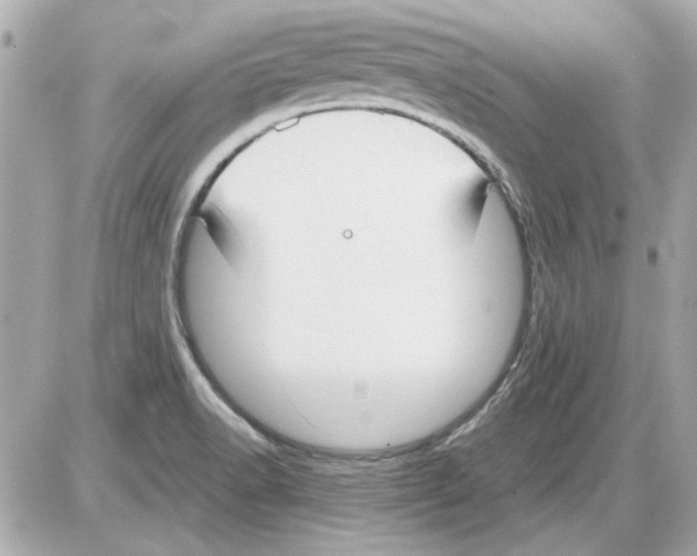 X0000085311518200704092310