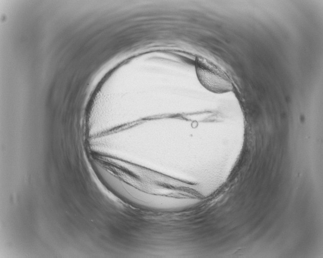 X0000085311519200704092310