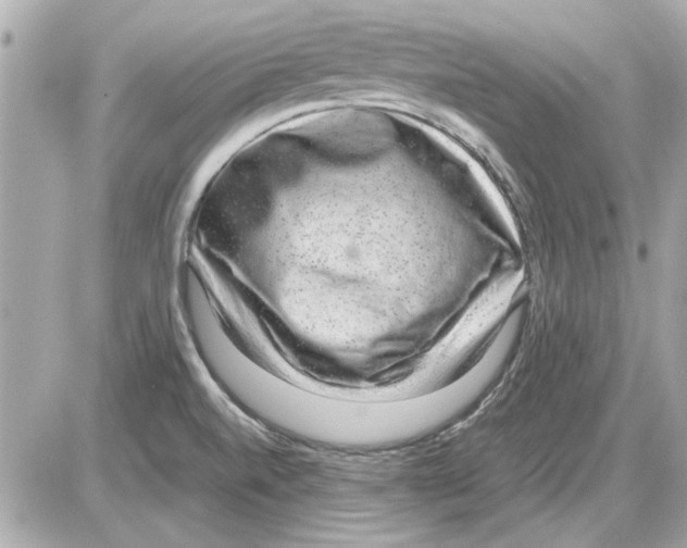 X0000085311520200704092310