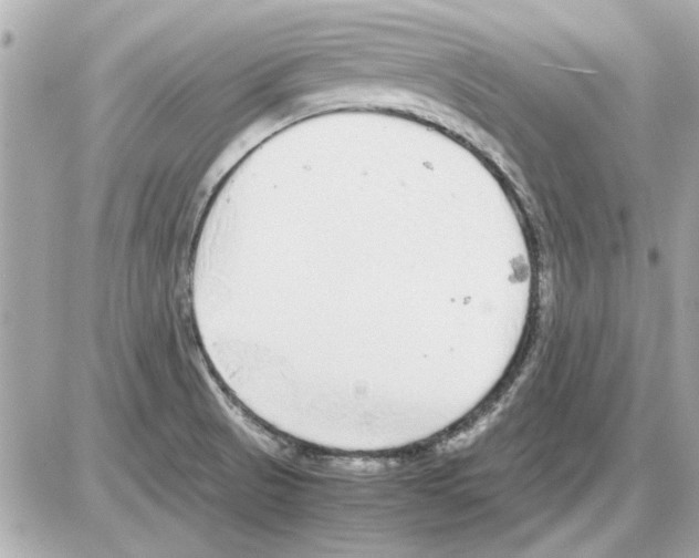 X0000085311521200704092310