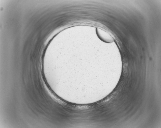 X0000085311523200704092310