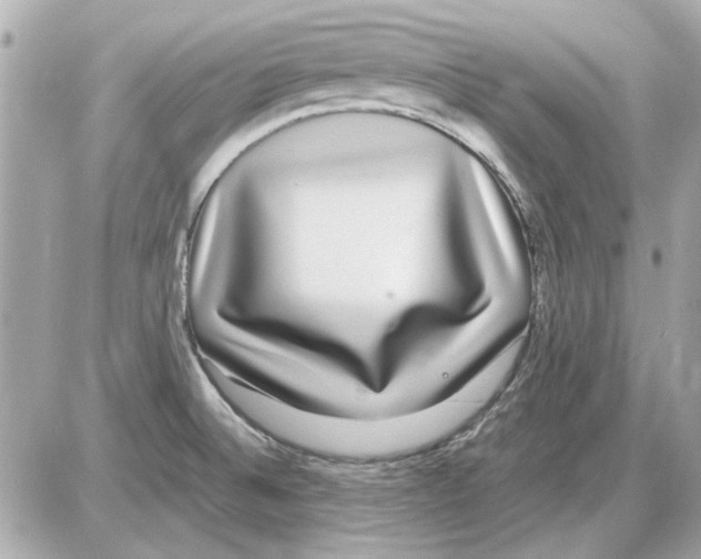 X0000085311524200704092310