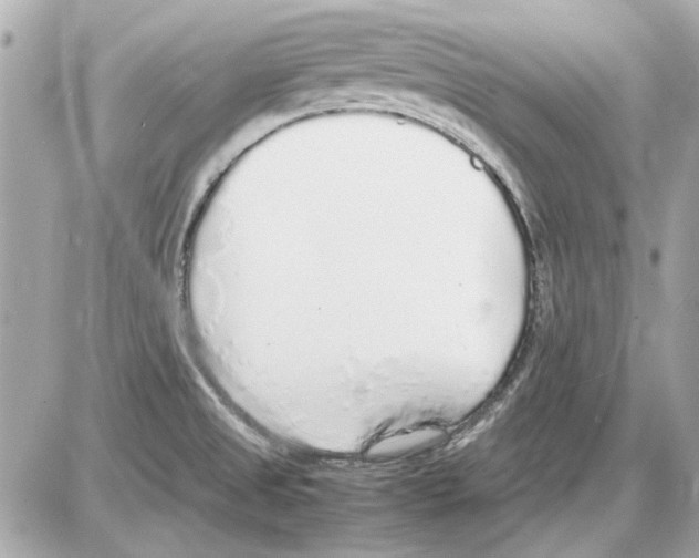 X0000085311525200704092310