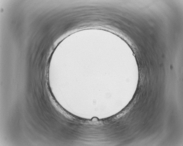 X0000085311526200704092310