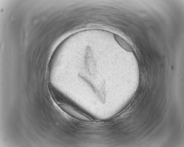 X0000085311527200704092310