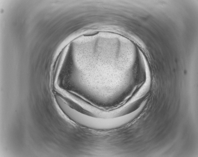 X0000085311528200704092310