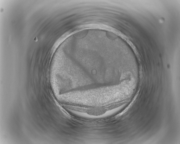 X0000085311529200704092310