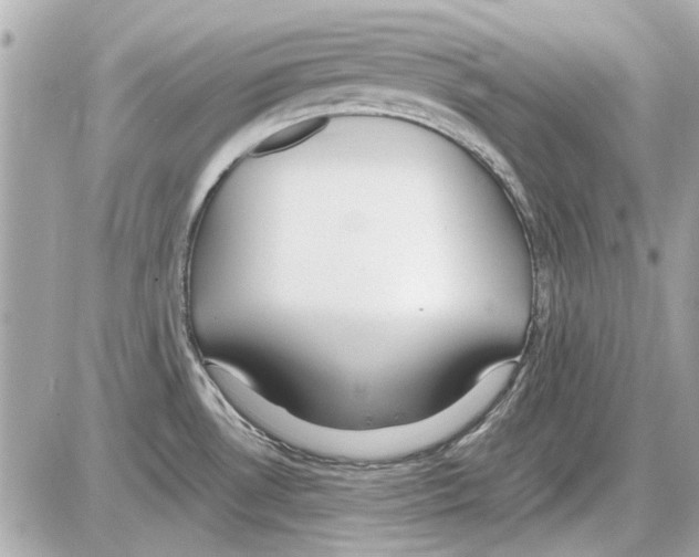 X0000085311530200704092310