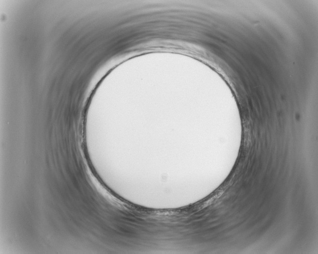 X0000085311531200704092310