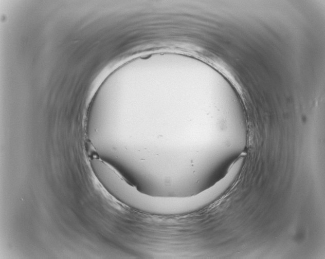 X0000085311532200704092310