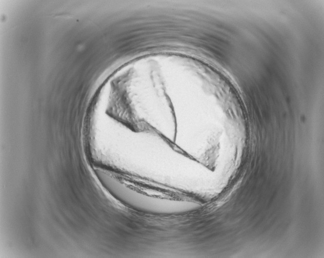 X0000085311533200704092310