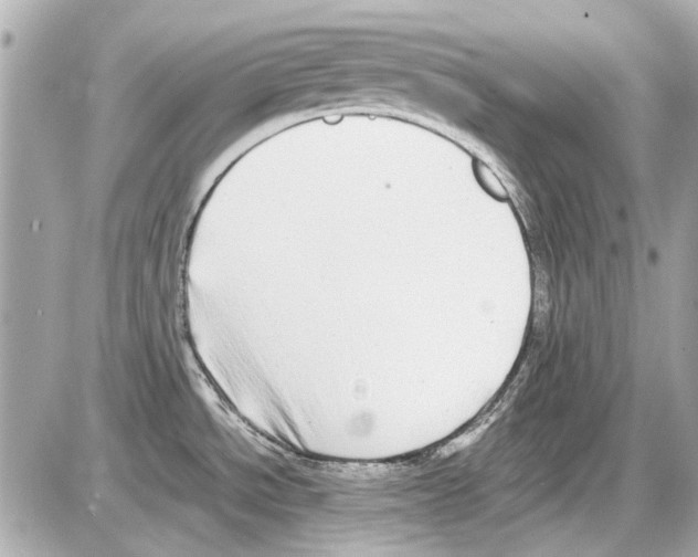 X0000085311534200704092310