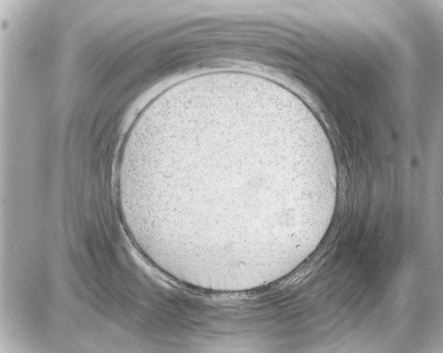 X0000085311535200704092310