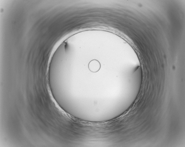 X0000085311536200704092310