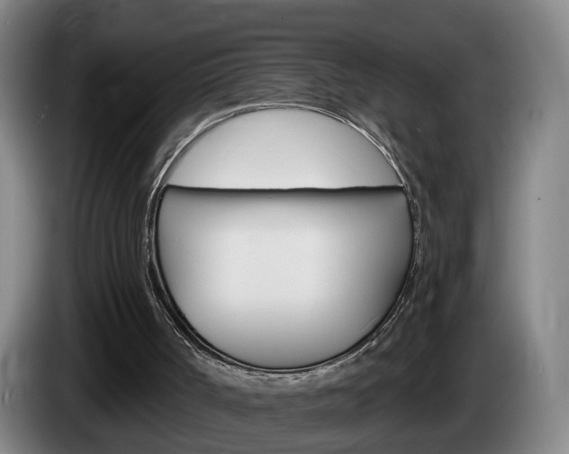 X0000085320002200703091125