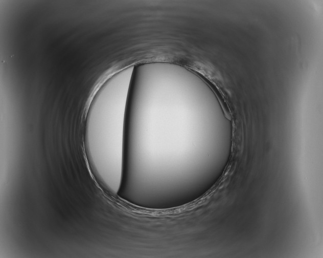 X0000085320003200703091125