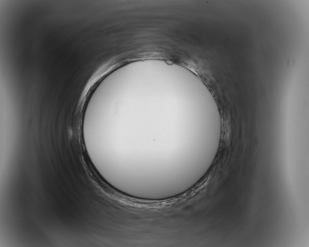 X0000085320004200703091125