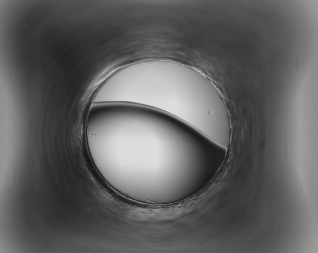 X0000085320005200703091125