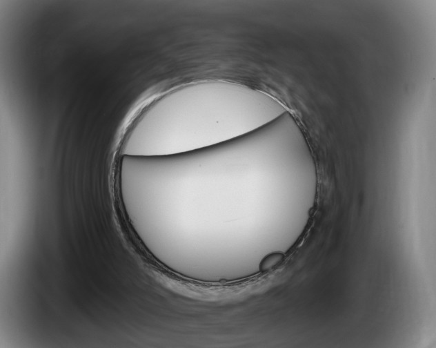 X0000085320006200703091125