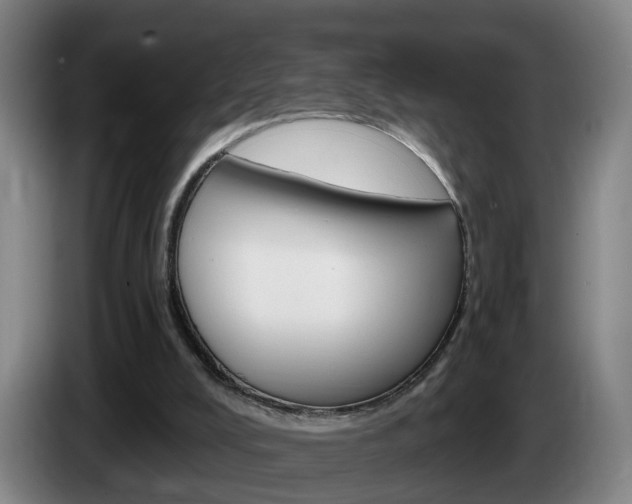 X0000085320008200703091125