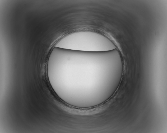 X0000085320010200703091125