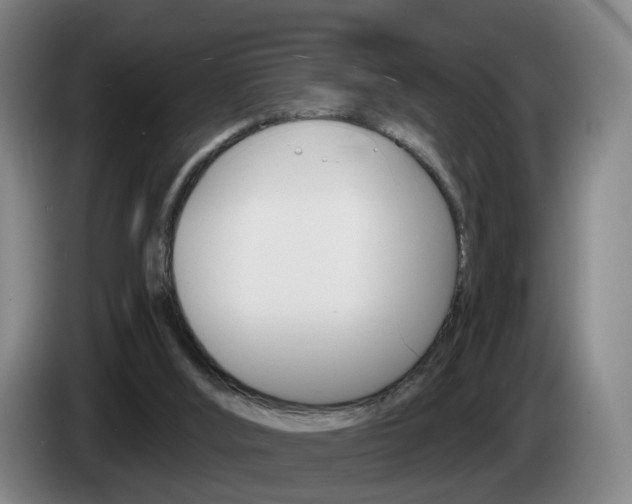 X0000085320012200703091125