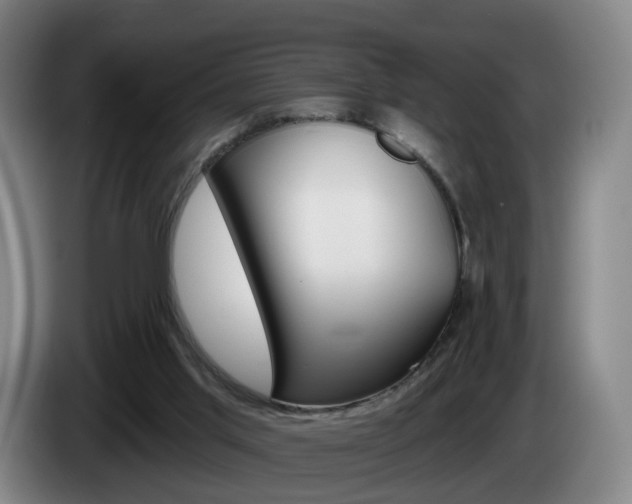 X0000085320013200703091125