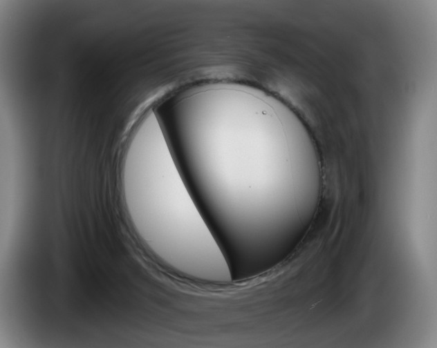X0000085320015200703091124