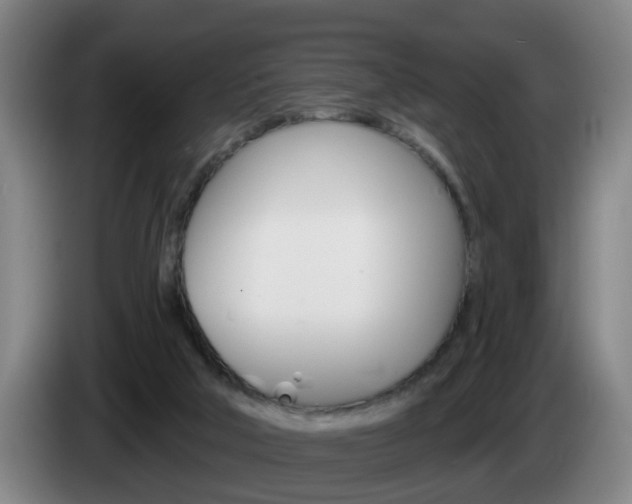 X0000085320018200703091124