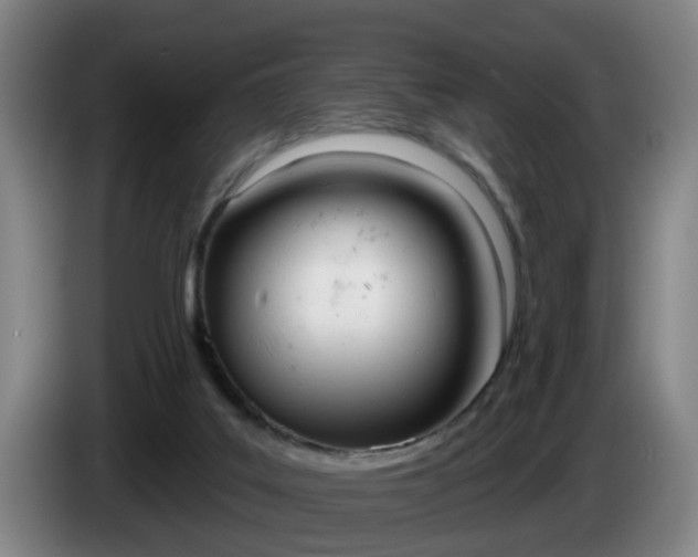 X0000085320019200703091124