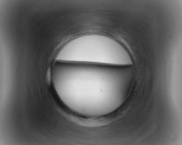 X0000085320020200703091124