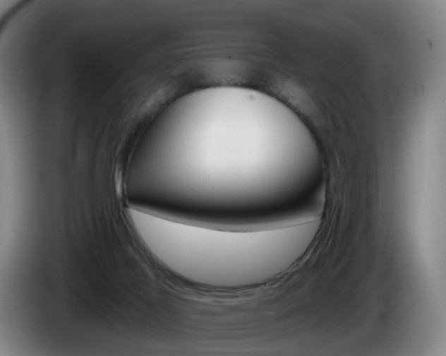X0000085320021200703091124
