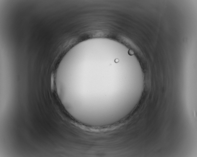 X0000085320022200703091124