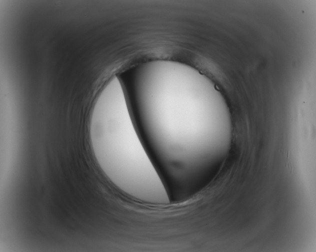 X0000085320023200703091124