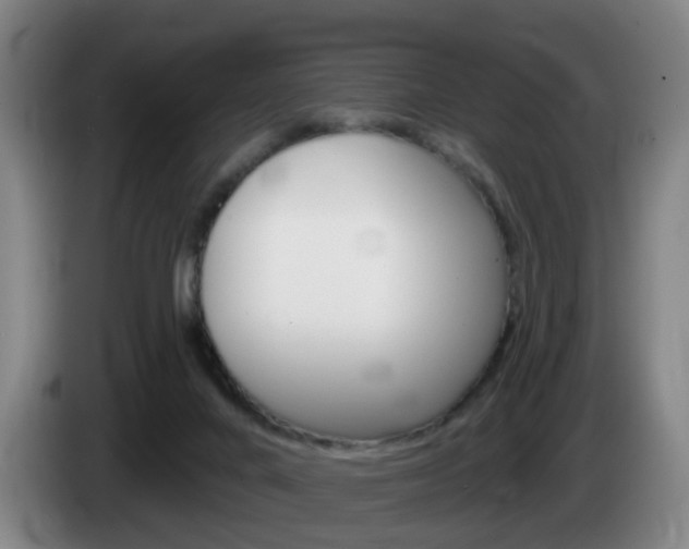 X0000085320024200703091124