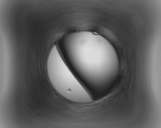 X0000085320025200703091124