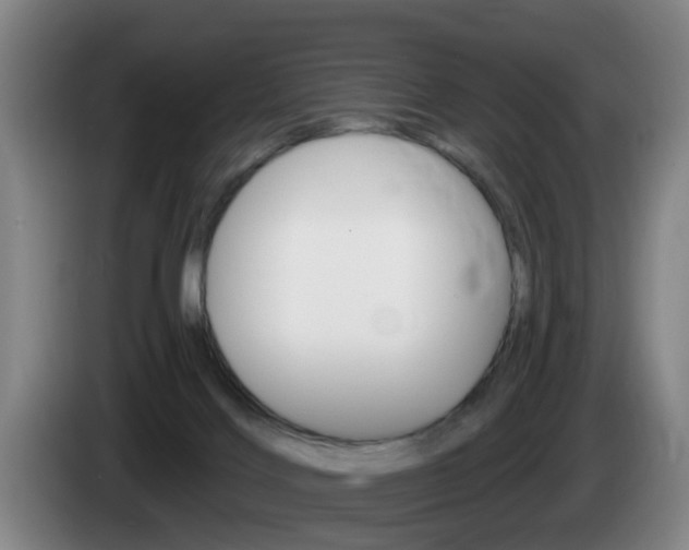 X0000085320028200703091124