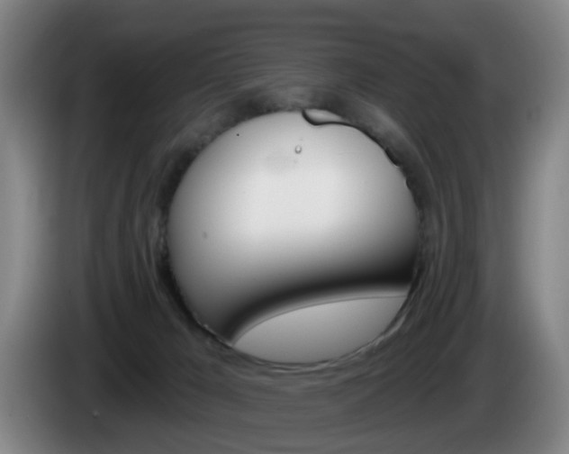 X0000085320029200703091124